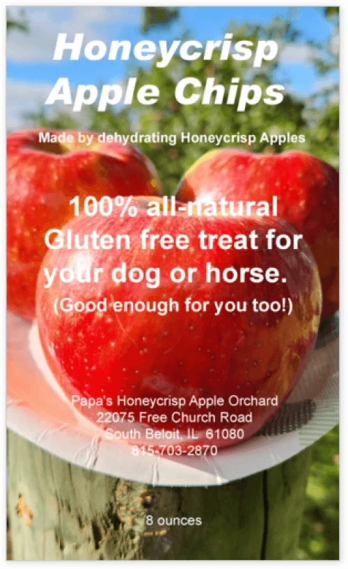 Honeycrisp Apple Chips